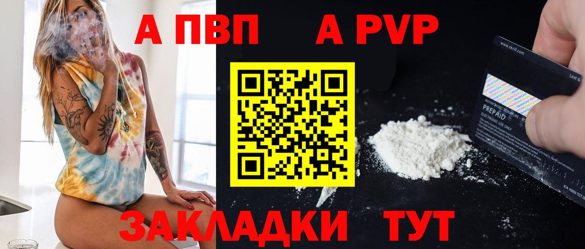 A-PVP СК КРИС Тула