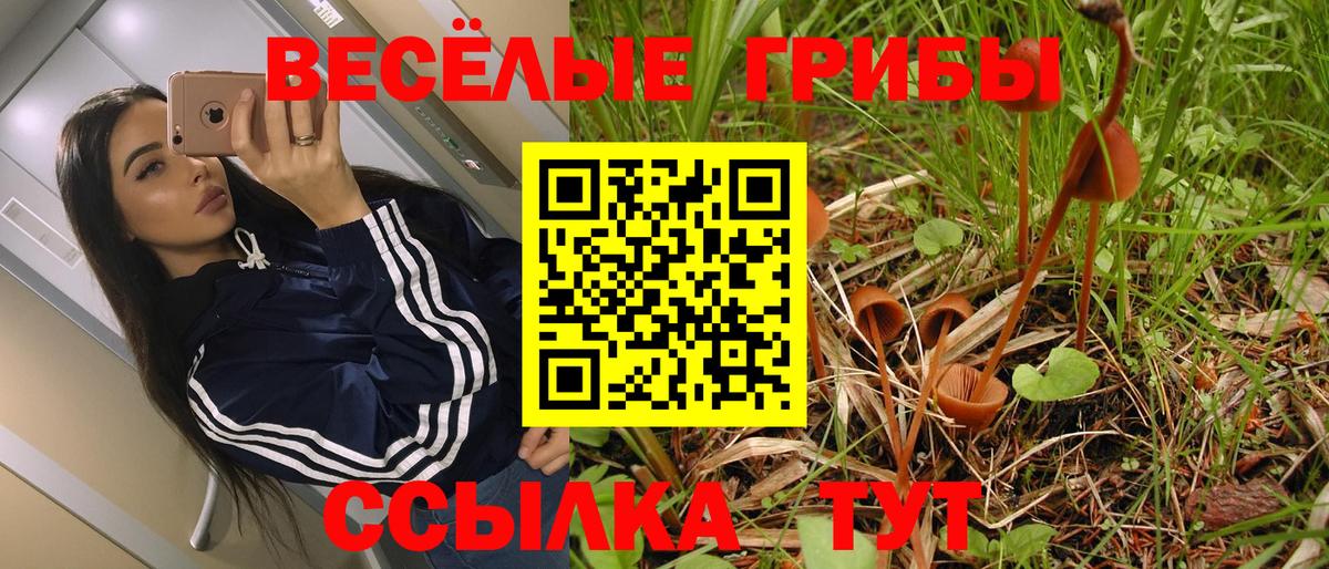 Галлюциногенные грибы GOLDEN TEACHER  Псилоцибиновые грибы GOLDEN TEACHER  Тула  Вход с VPN 